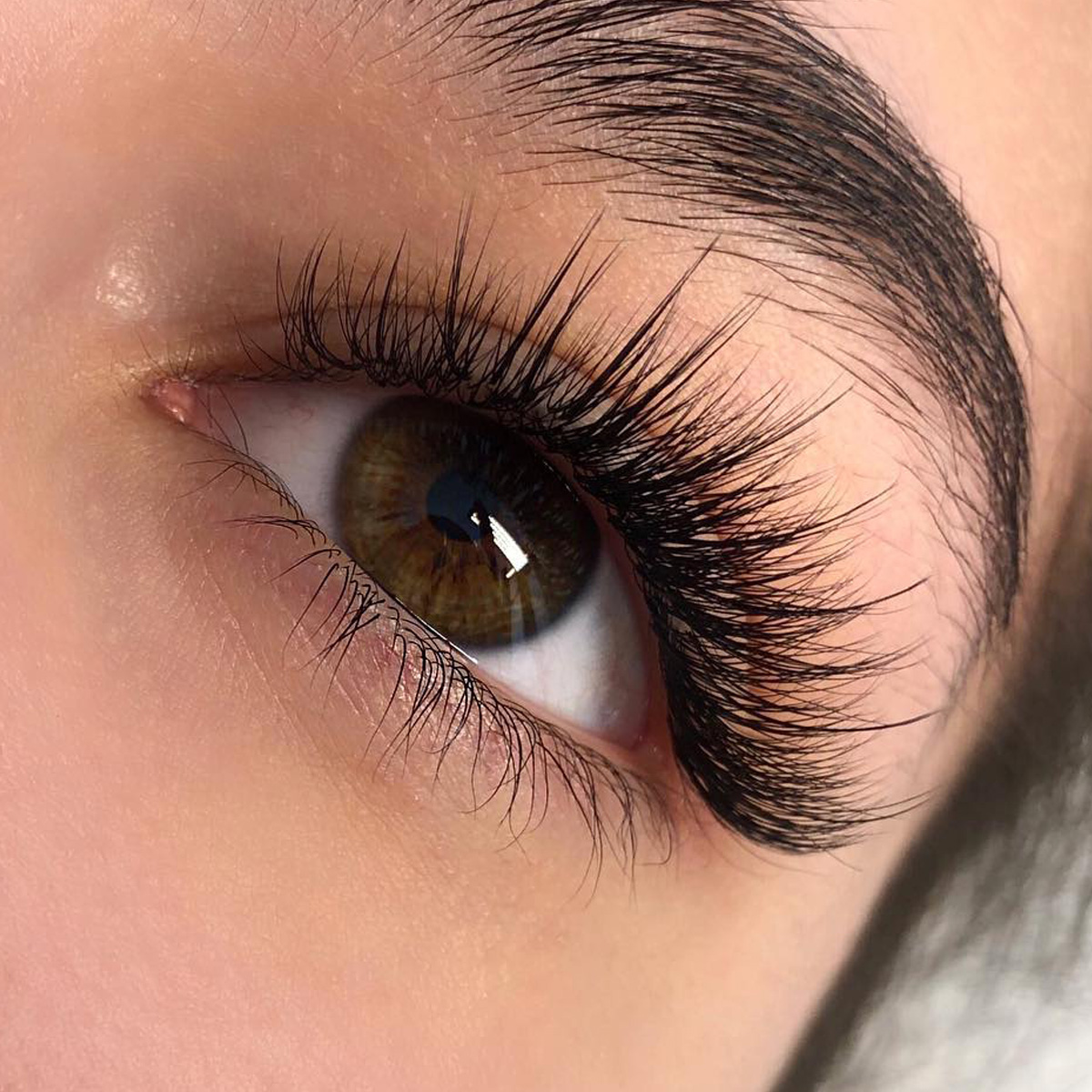 LVL lashes LVL lashes